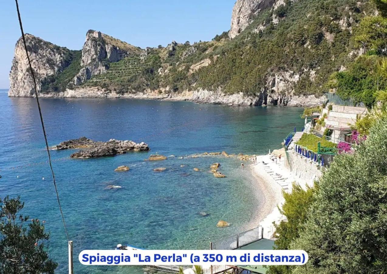 Siren Land - Marina Del Cantone เนราโน ภายนอก รูปภาพ
