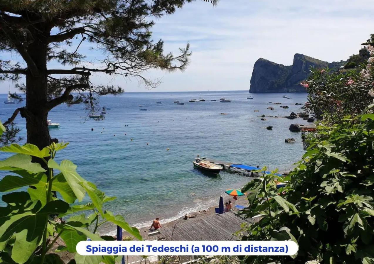 Siren Land - Marina Del Cantone เนราโน ภายนอก รูปภาพ